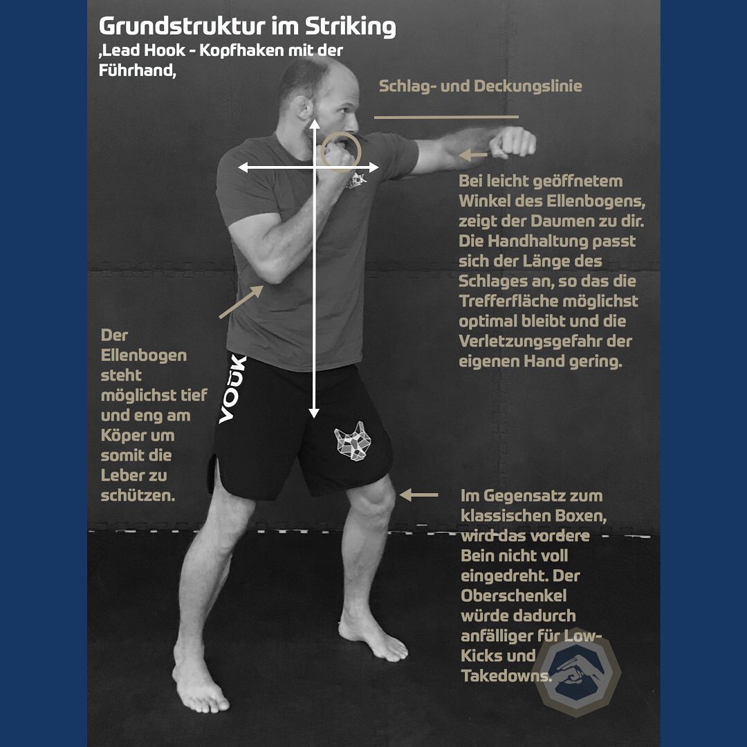 Read more about the article Grundstruktur im Striking